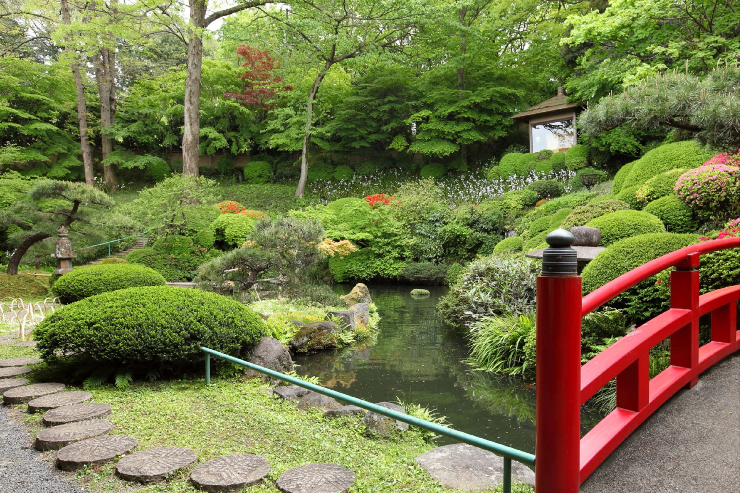 夏の庭園①