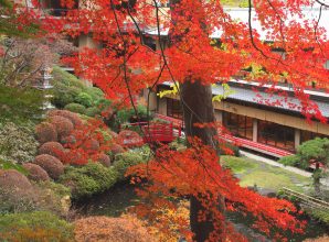 紅葉シーズン、忘新年会の予約受付開始しました。